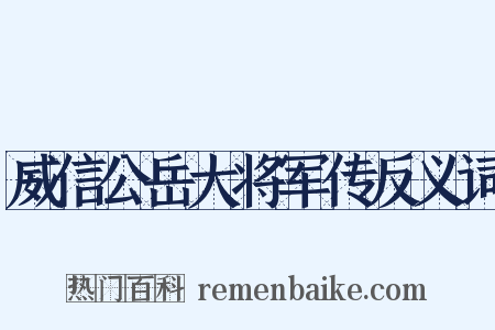 威信公岳大将军传反义词是什么意思的图片